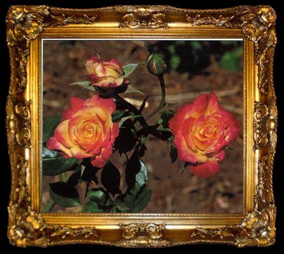framed  unknow artist Still life floral, all kinds of reality flowers oil painting  216, ta009-2